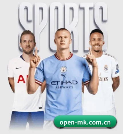 mk体育入口的方向(mksports)